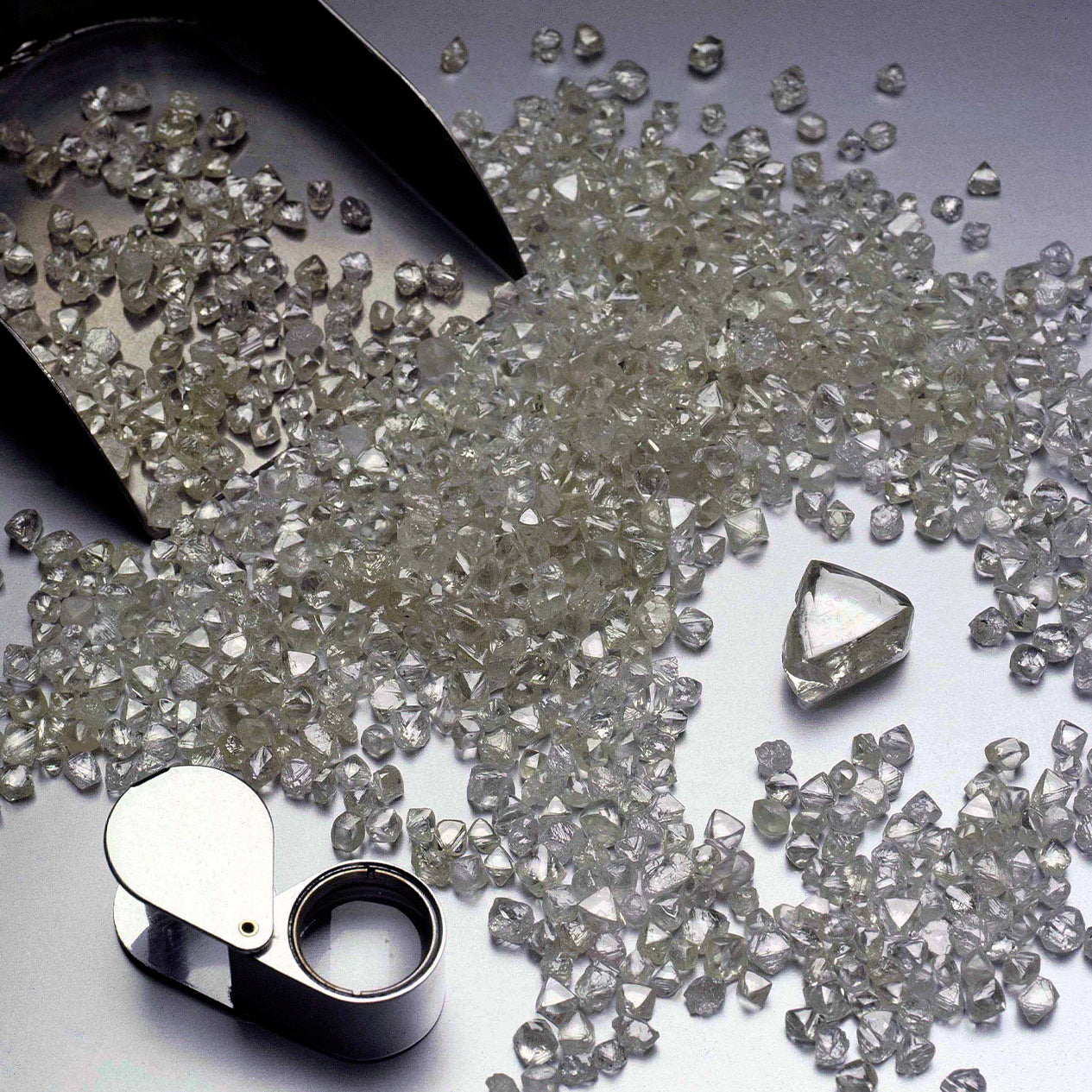 Shimansky Jewellery sorting rough diamonds 
