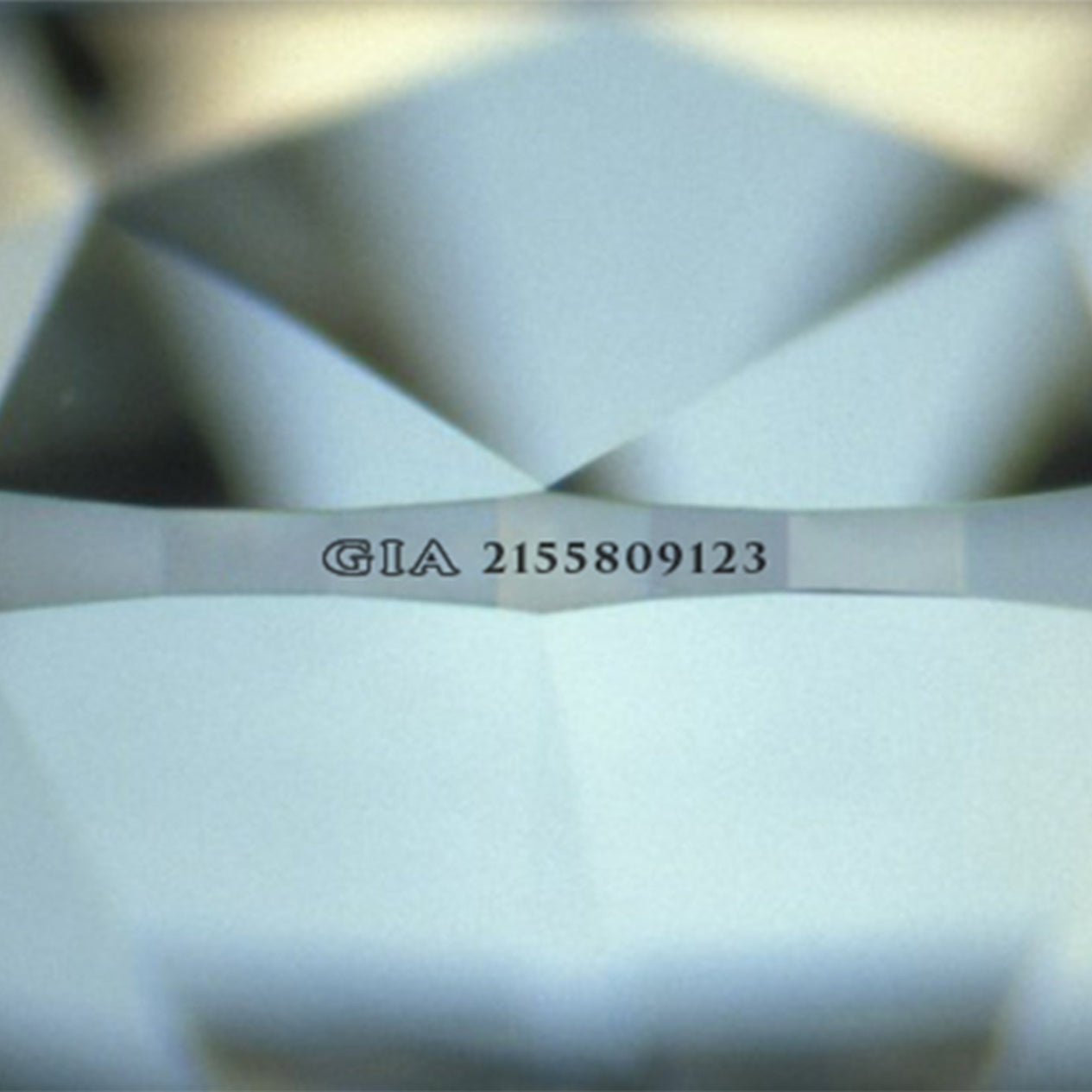 Shimansky Jewellery GIA certification number location.