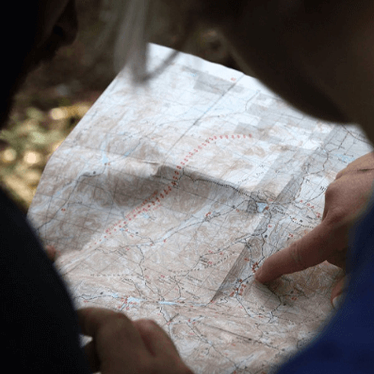 Hikers looking at a map of the area