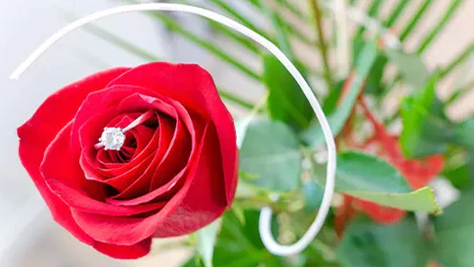 THE 8 BEST PLACES TO PROPOSE ON VALENTINE’S DAY - SHIMANSKY.CO.ZA