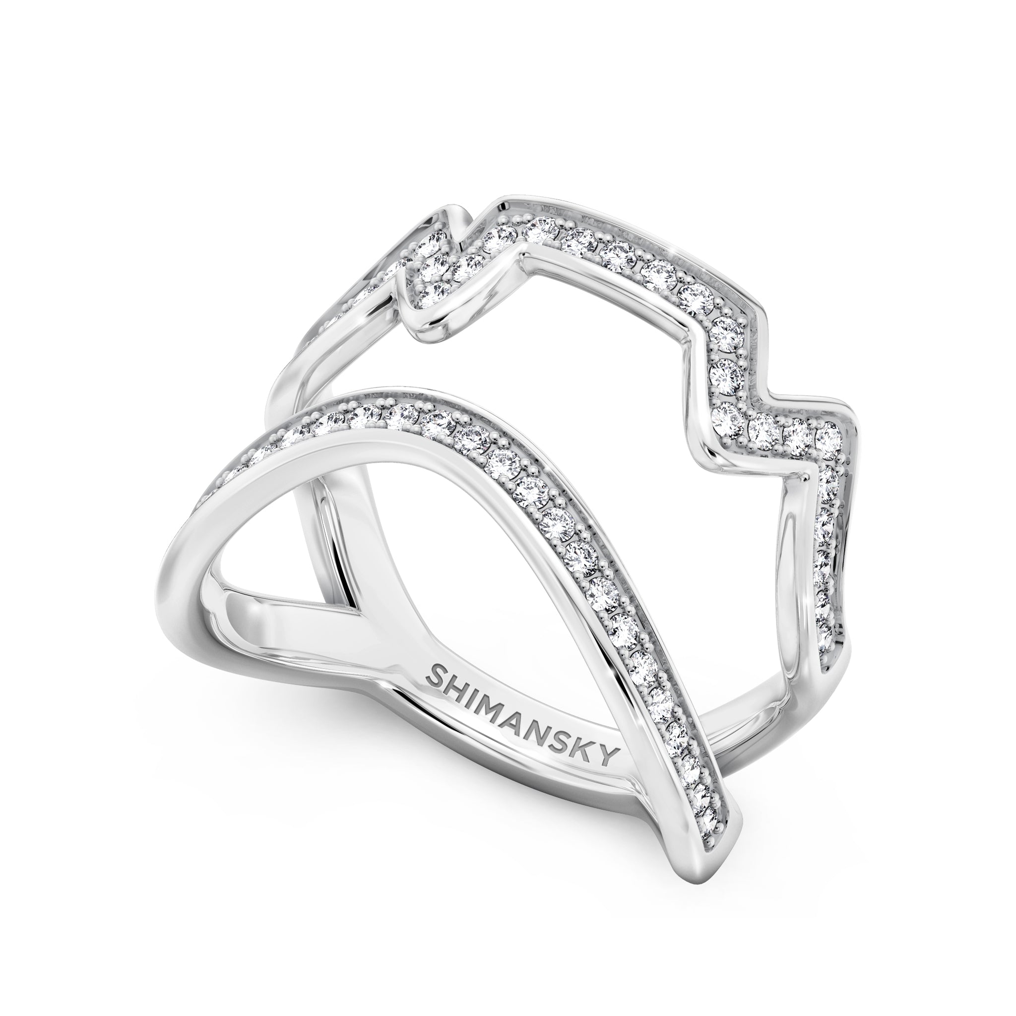 Cape Town Double Row Diamond Ring in 14K White Gold 3D View
