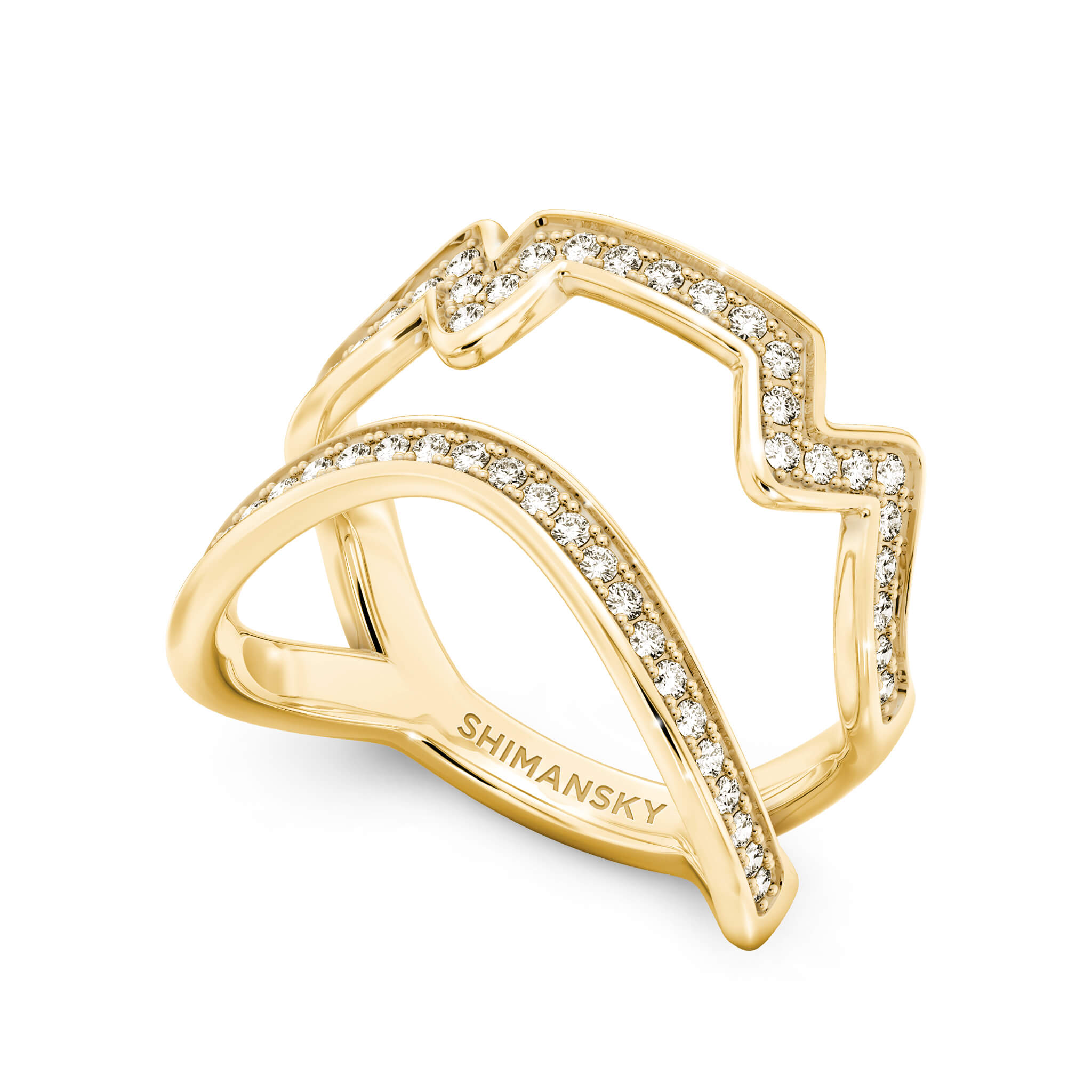 Cape Town Double Row Diamond Ring in 14K Yellow Gold 3D View