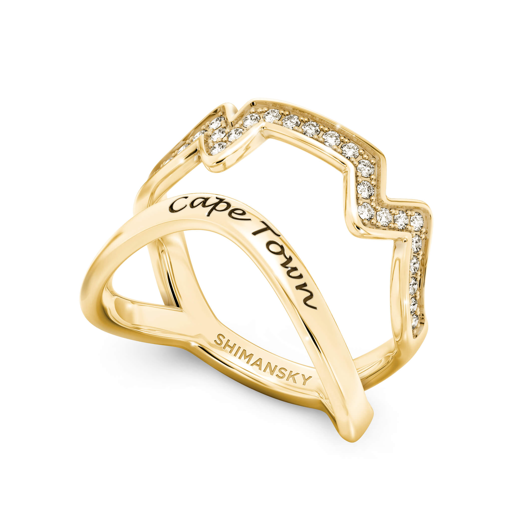 Cape Town Single Row Diamond Ring In Yellow Gold 3D View