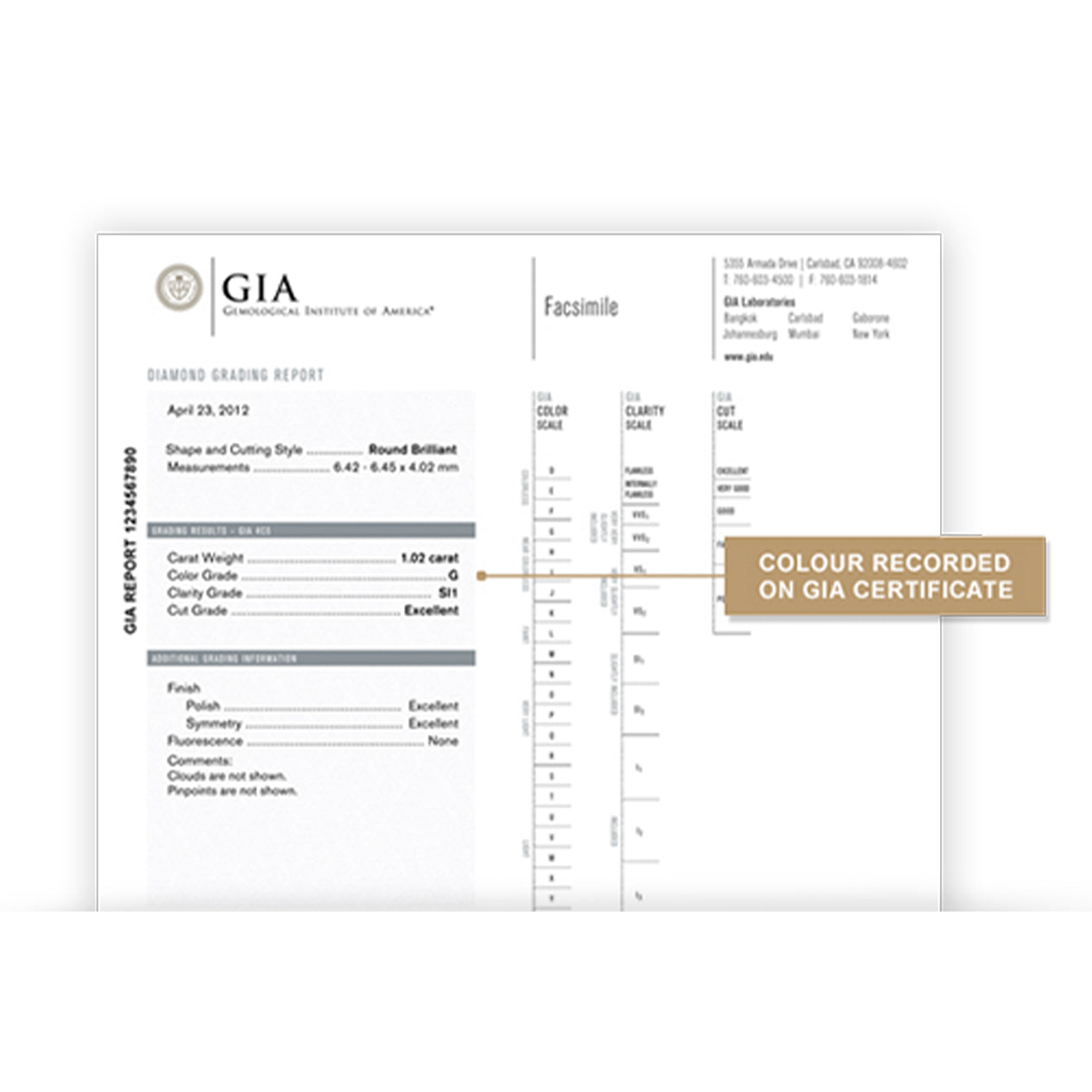 Shimansky Jewellery GIA Diamond report illustrating where to find the colour