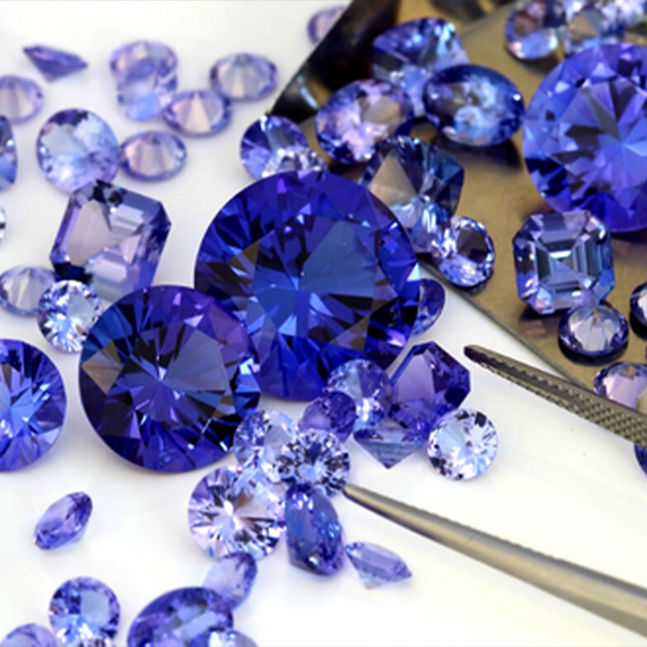 An assortment of shaped and cut loose Tanzanite gems
